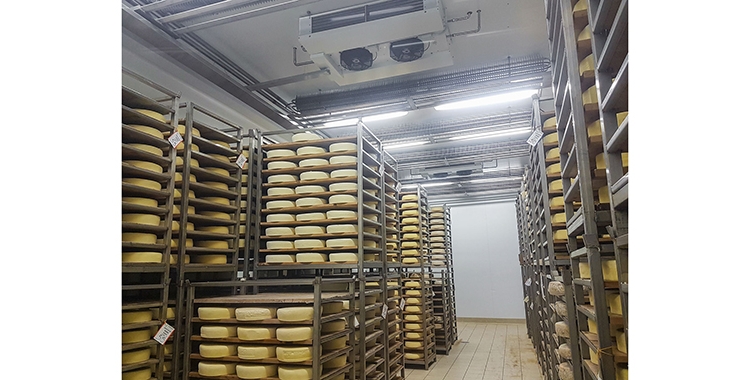 Ремонт холодильных камер для хранения сыра