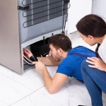 Как избежать ремонта холодильника